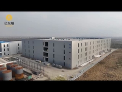 Steel Structure Building